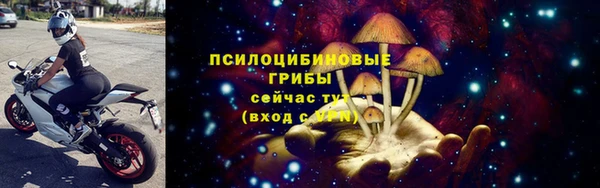 прущие крисы Верея