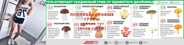 прущие крисы Верея