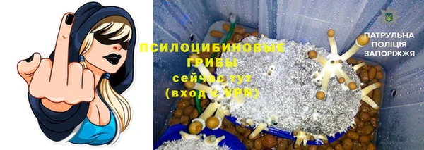 прущие крисы Верея